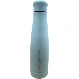 ΘΕΡΜΟΣ ΑΝΟΞΕΙΔΩΤΟ 550ml BLUE ICE BEST FRIENDS