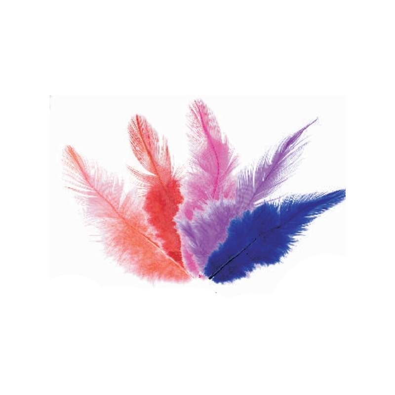 ΠΟΥΠΟΥΛΑ 10-12CM /24ΤEM COCK